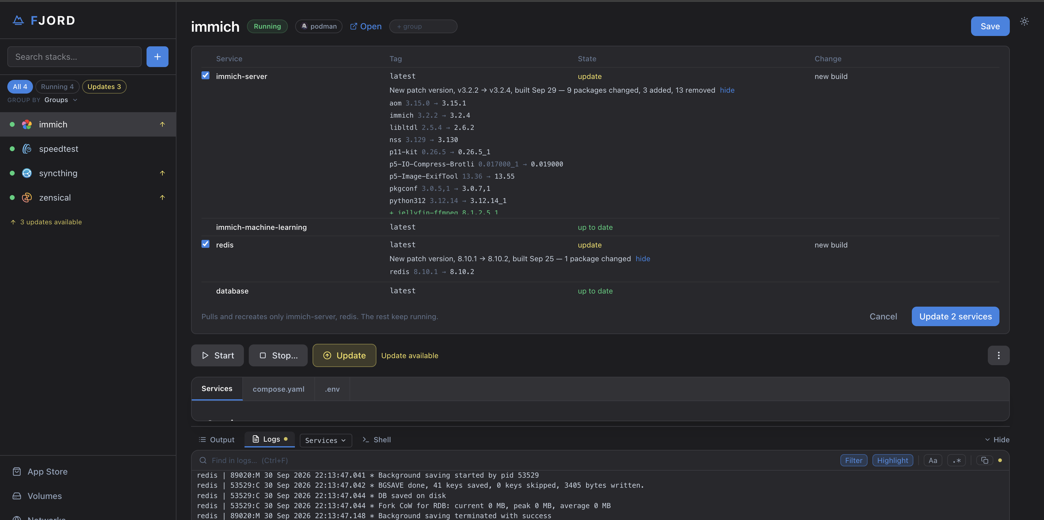 The Update panel: a patch version, the packages that change, one service ticked