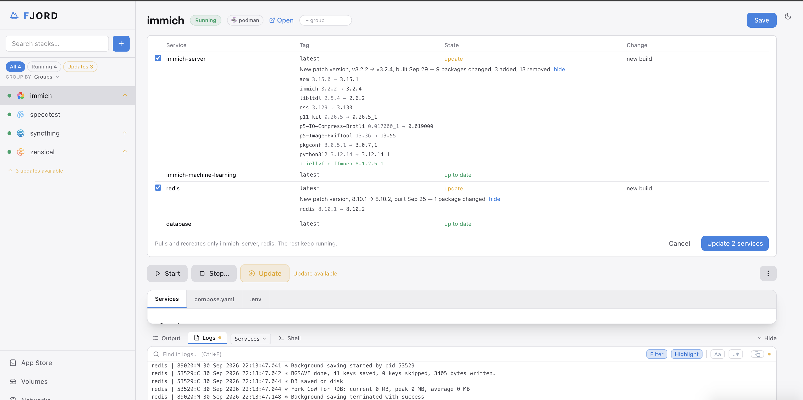 The Update panel: a patch version, the packages that change, one service ticked
